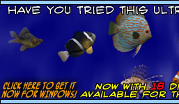 3D Screensaver for Windows
