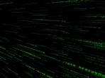 Neo 3D Matrix Code Screensaver